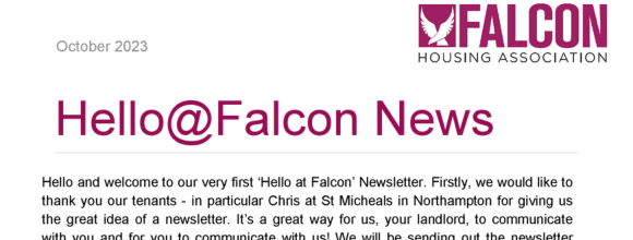 Falcon Housing News banner